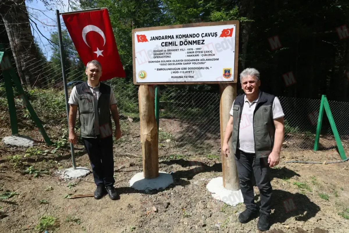 Şehit Cemil Dönmez’in ağaca kazıdığı dörtlük 29 yıl sonra anıt oldu